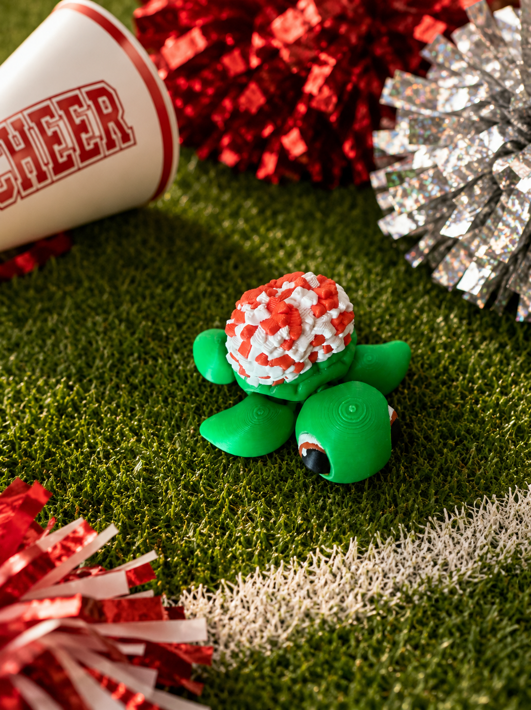 3D Sports Turtle Collection