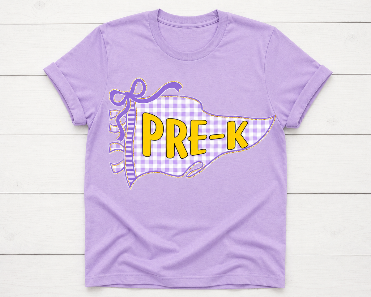 Colorful Gingham Back To School Pennant Flag Shirt